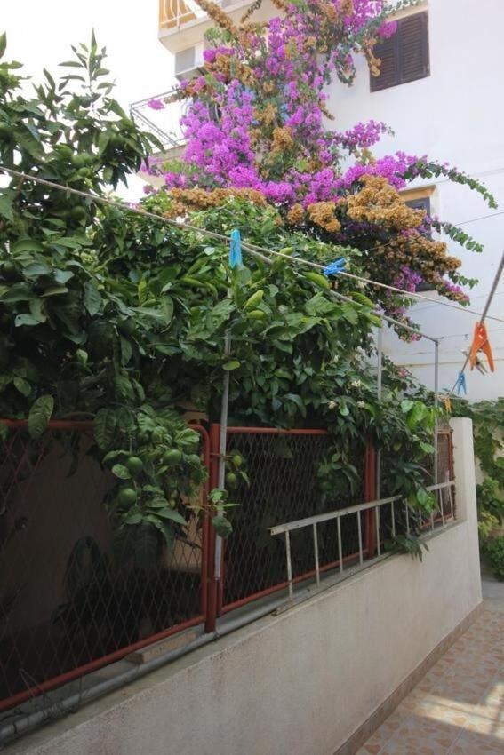 Apartments Zoki - Great Location Close To The Sea Vis Esterno foto